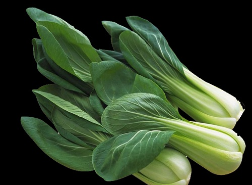 不合格食品風(fēng)險(xiǎn)控制，快速檢測儀器可檢農(nóng)藥殘留超標(biāo)