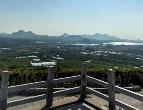 平度大澤山葡萄園引進(jìn)萊恩德土壤肥料檢測(cè)儀， 輕松掌握土壤營(yíng)養(yǎng)